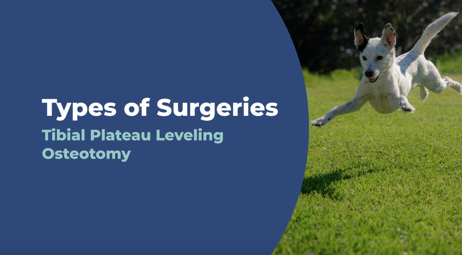What is Tibial Plateau Level video