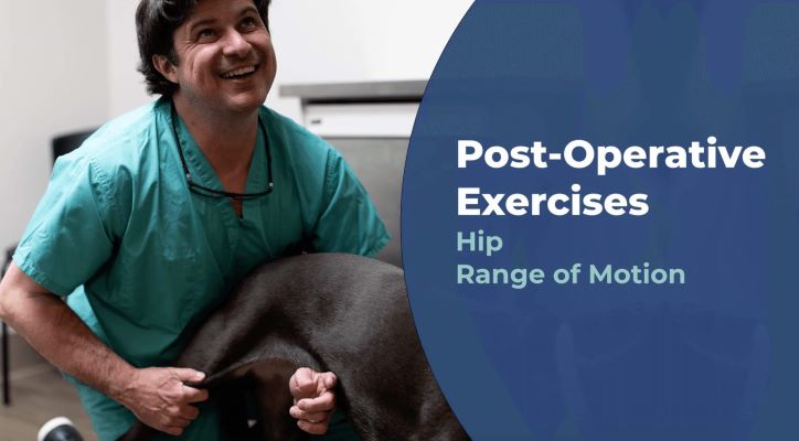 Hip range of motion video