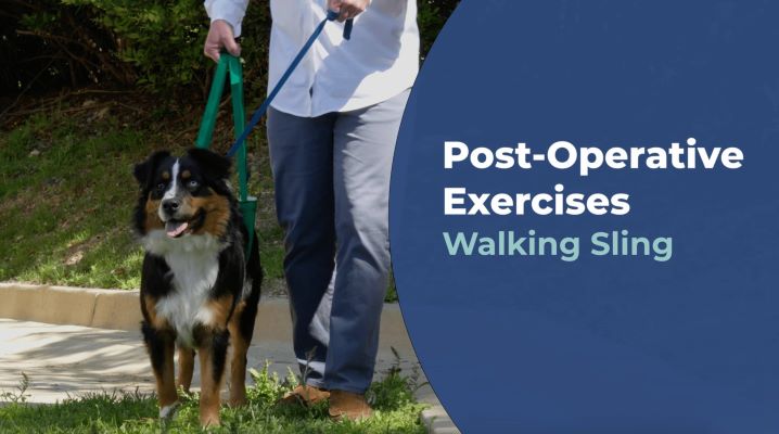 Walking sling demo video