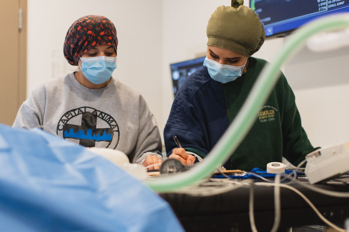 Preparing a Patient for Surgery