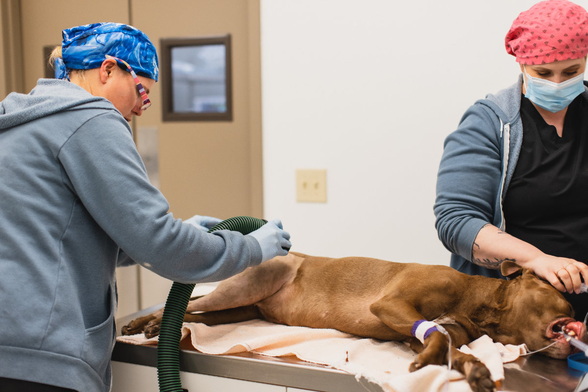 Preparing a Patient for Surgery