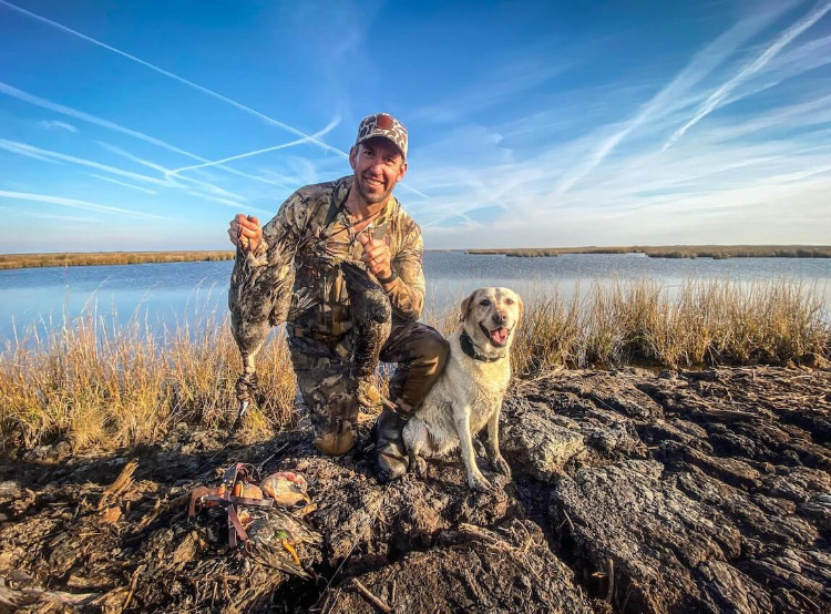 Hunting Dog