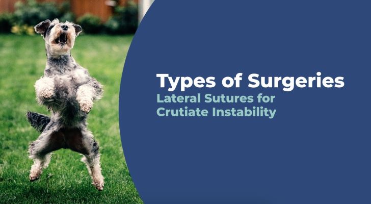 Lateral Sutures for Cruciate Instability video