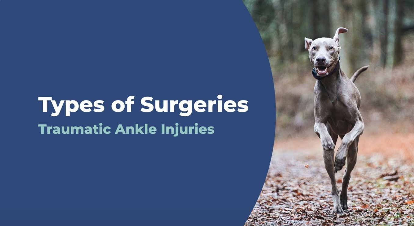 Traumatic Ankle Injuries video