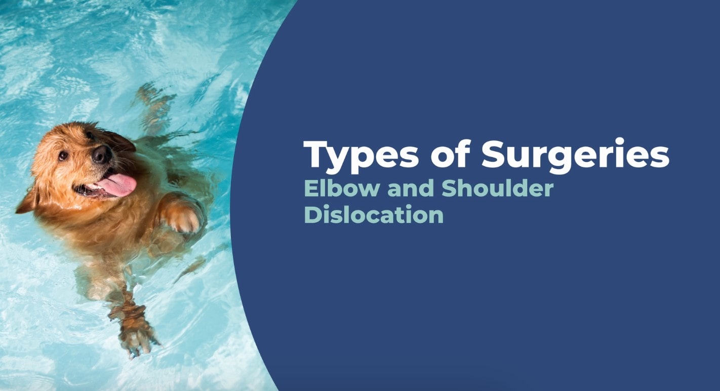 Elbow and Shoulder Dislocation video