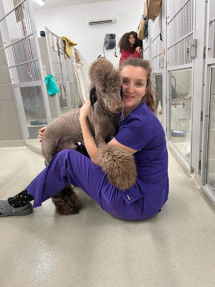 Capital Animal Hospital Testimonial