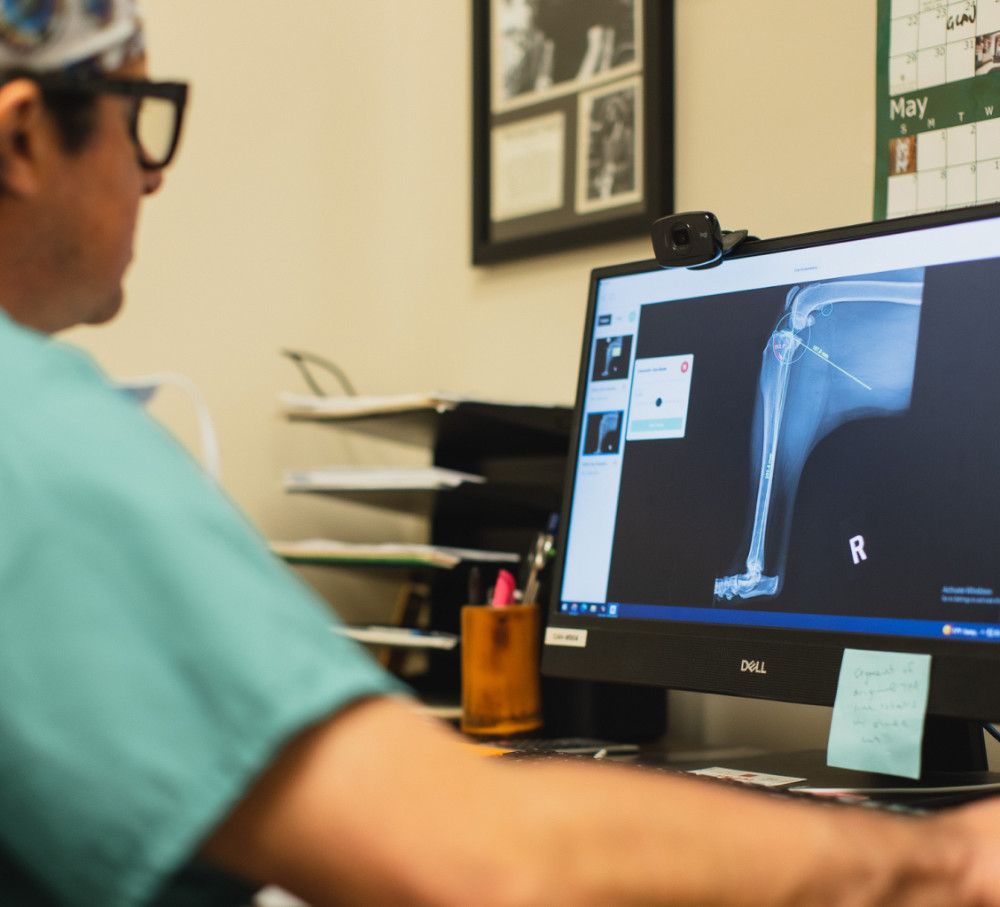Dr. Jonathan Suber Reviewing X-ray